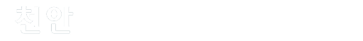 천안 휴먼빌 퍼스트시티